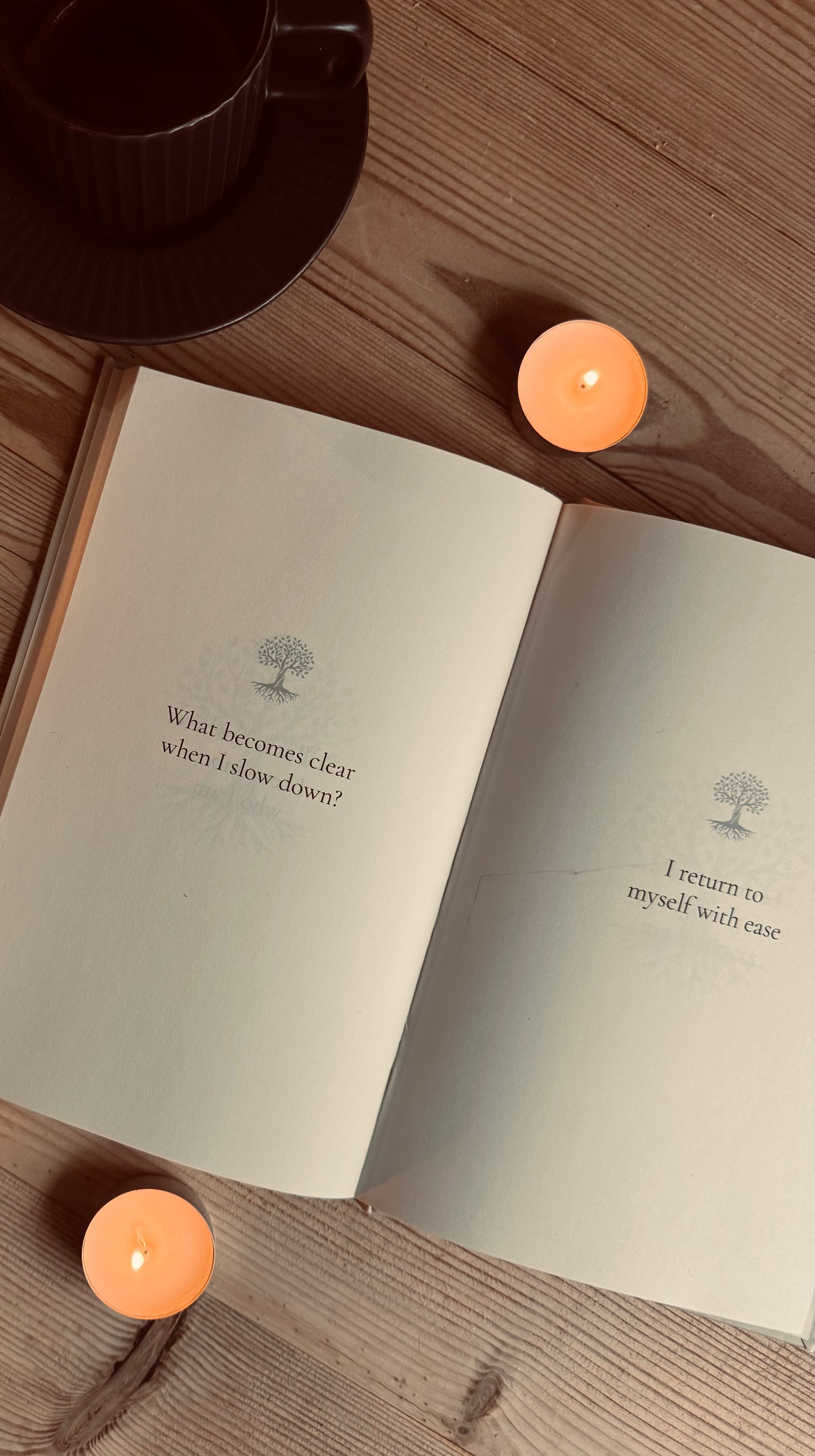 A Quiet Return – Affirmations for Stillness & Grounding